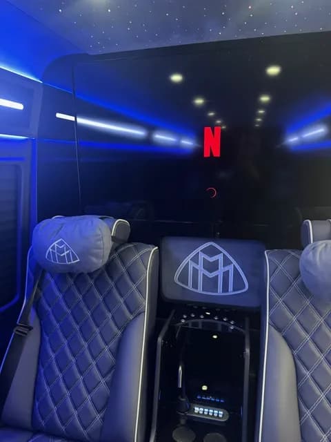 Rear-seat entertainment screen streaming an ambient winter scene