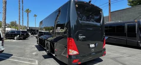 Fleet of black shuttle buses lined up curbside (rear plate visible)